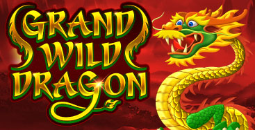 Grand Wild Dragon