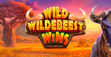 Wild Wildebeest Wins